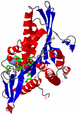 Image Asym./Biol. Unit - sites