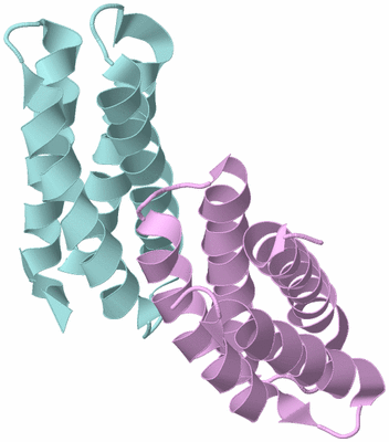 Image Biological Unit 3