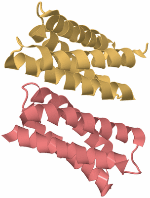 Image Biological Unit 4