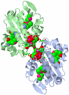 Image Asym./Biol. Unit - sites
