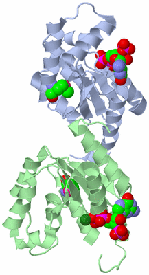 Image Biological Unit 2