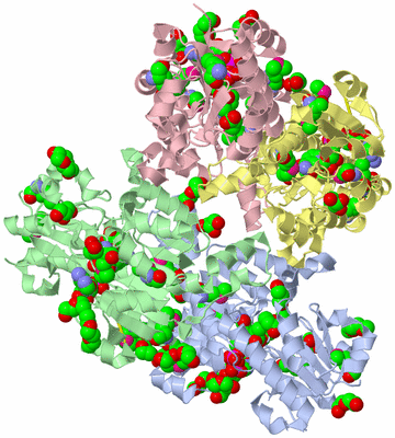 Image Asym./Biol. Unit