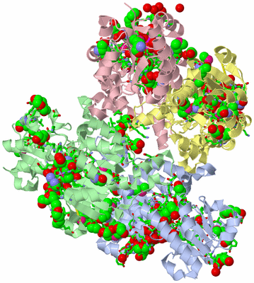 Image Asym./Biol. Unit - sites