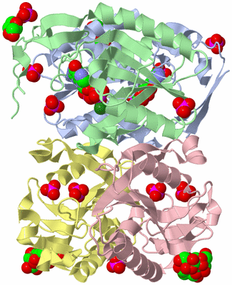 Image Asym./Biol. Unit