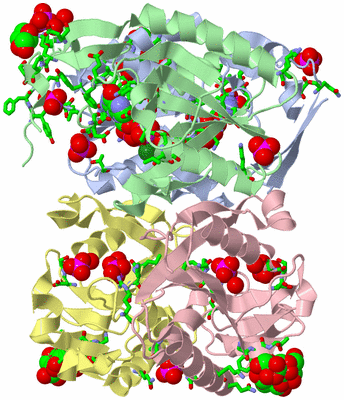 Image Asym./Biol. Unit - sites