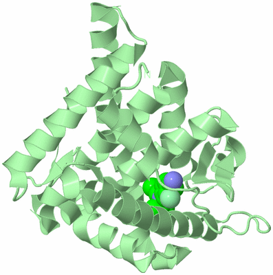 Image Biological Unit 2