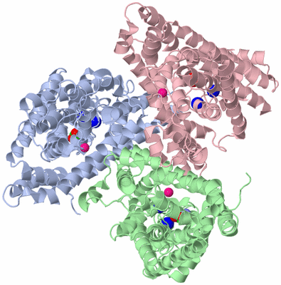 Image Asym./Biol. Unit