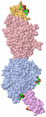 Image Biol. Unit 1 - sites