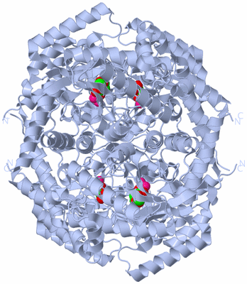 Image Biological Unit 1