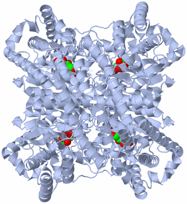 Image Biological Unit 1