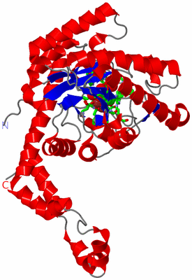 Image Asym. Unit - sites