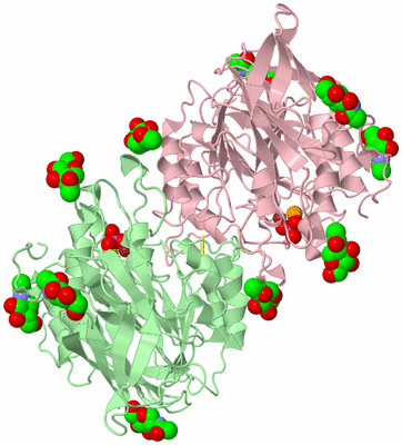 Image Biological Unit 2