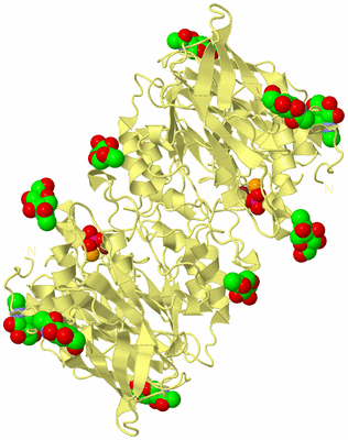 Image Biological Unit 3