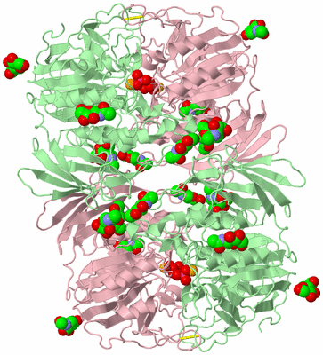 Image Biological Unit 4