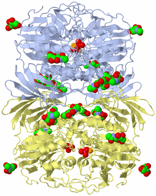 Image Biological Unit 5