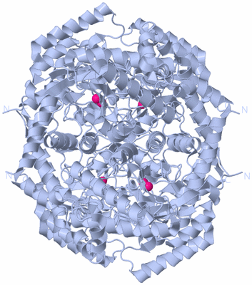 Image Biological Unit 1