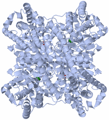 Image Biological Unit 1