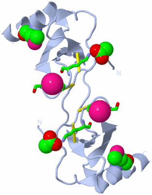 Image Biol. Unit 1 - sites