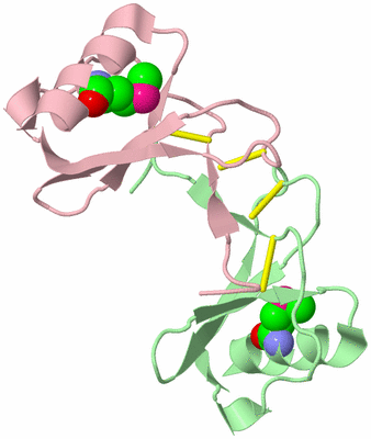 Image Biological Unit 2