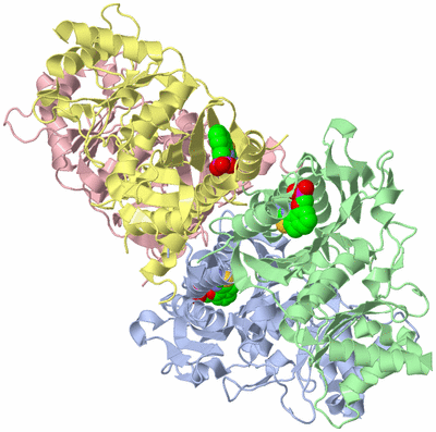 Image Asym./Biol. Unit