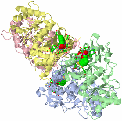 Image Asym./Biol. Unit - sites