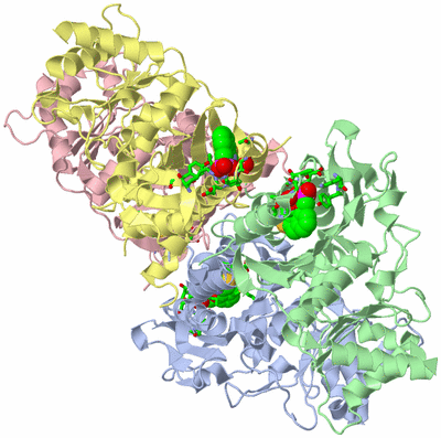 Image Asym./Biol. Unit - sites