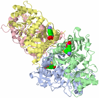 Image Asym./Biol. Unit