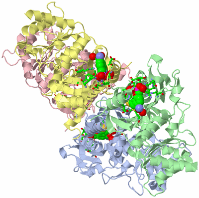 Image Asym./Biol. Unit - sites