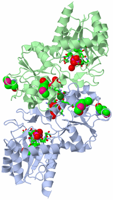 Image Asym./Biol. Unit - sites