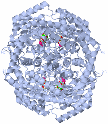 Image Biological Unit 1