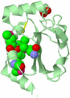 Image Biological Unit 2