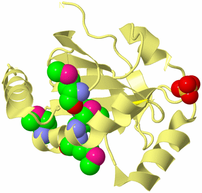 Image Biological Unit 4