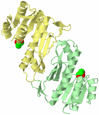 Image Biological Unit 2