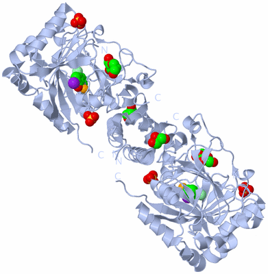 Image Biological Unit 1