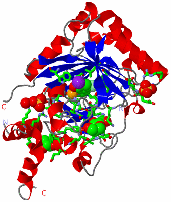 Image Asym. Unit - sites