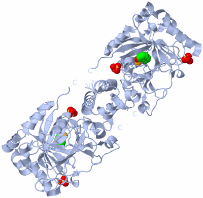 Image Biological Unit 1