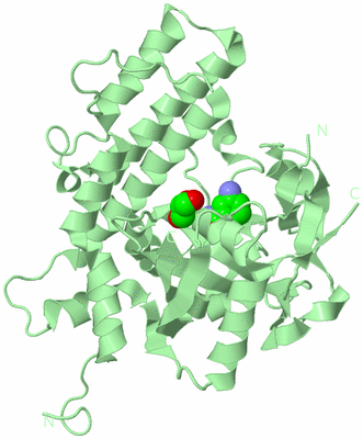 Image Biological Unit 2