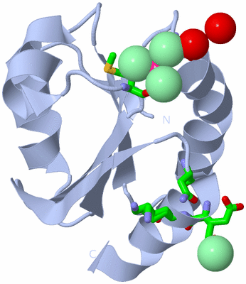 Image Biol. Unit 1 - sites