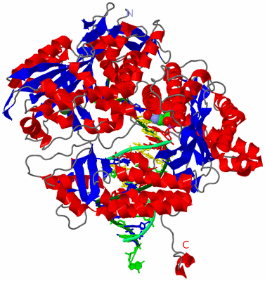 Image Asym./Biol. Unit