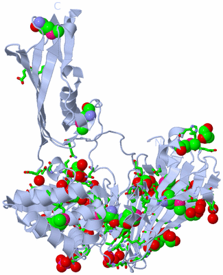 Image Biol. Unit 1 - sites