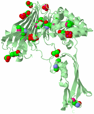 Image Biological Unit 2