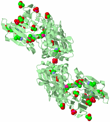 Image Biological Unit 3