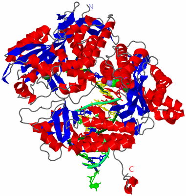 Image Asym./Biol. Unit