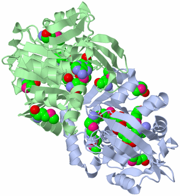 Image Biological Unit 2