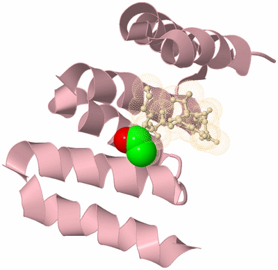 Image Biological Unit 3