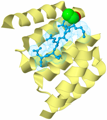 Image Biological Unit 4