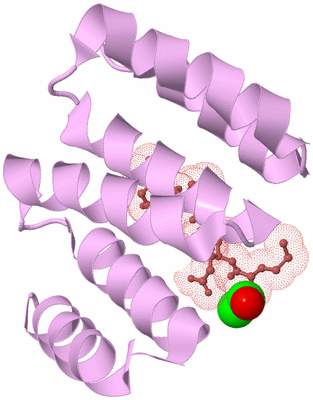 Image Biological Unit 5