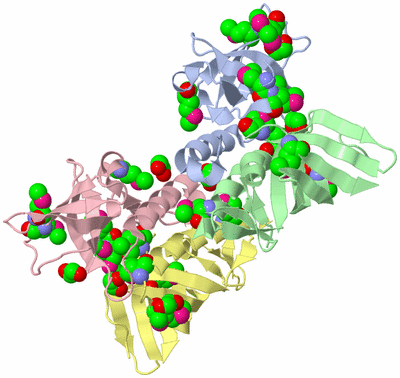 Image Biological Unit 1