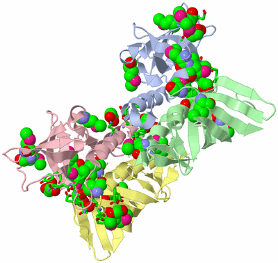 Image Biol. Unit 1 - sites