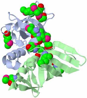 Image Biological Unit 2